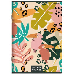 ТОП ВИПУСК A5 60K КОЛАЖНА РЕШІТКА 2022