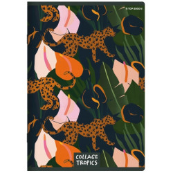 ТОП ВИПУСК A5 60K КОЛАЖНА РЕШІТКА 2022