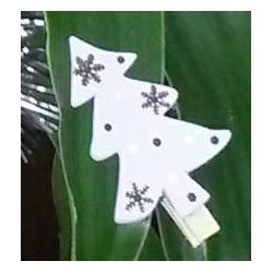 Drewniane klamerki kolorowe 25szt. 32707 STARPAK