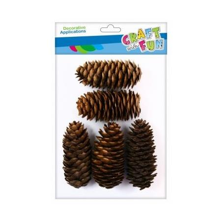 Szyszka naturalny 7-11cm  50g CRAFT WITH FUN