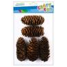 Szyszka naturalny 7-11cm  50g CRAFT WITH FUN