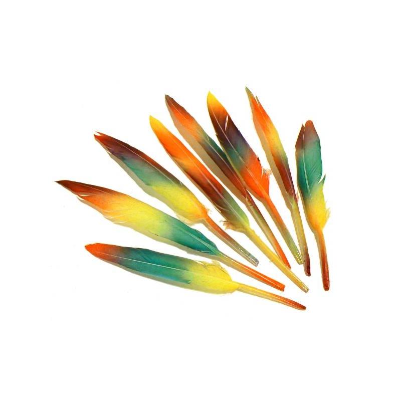 Piórka 10-15cm 8szt. tęczowe STARPAK