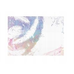 Papeteria piórka LUX 5+10 MFP