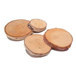 Ozdoba dekoracyjna drewnokształt 4-7cm 6szt. CRAFT