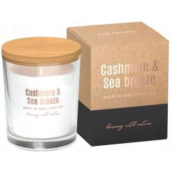 Соєва свічка