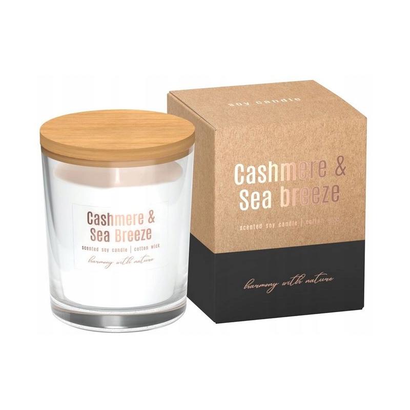 Соєва свічка