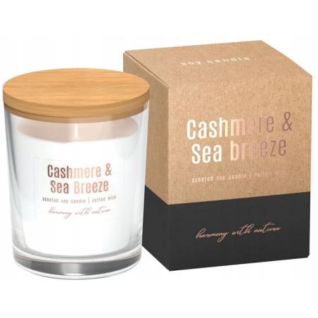 Соєва свічка