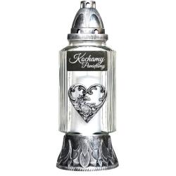 Znicz Z-35 Ми любимо, ми пам'ятаємо