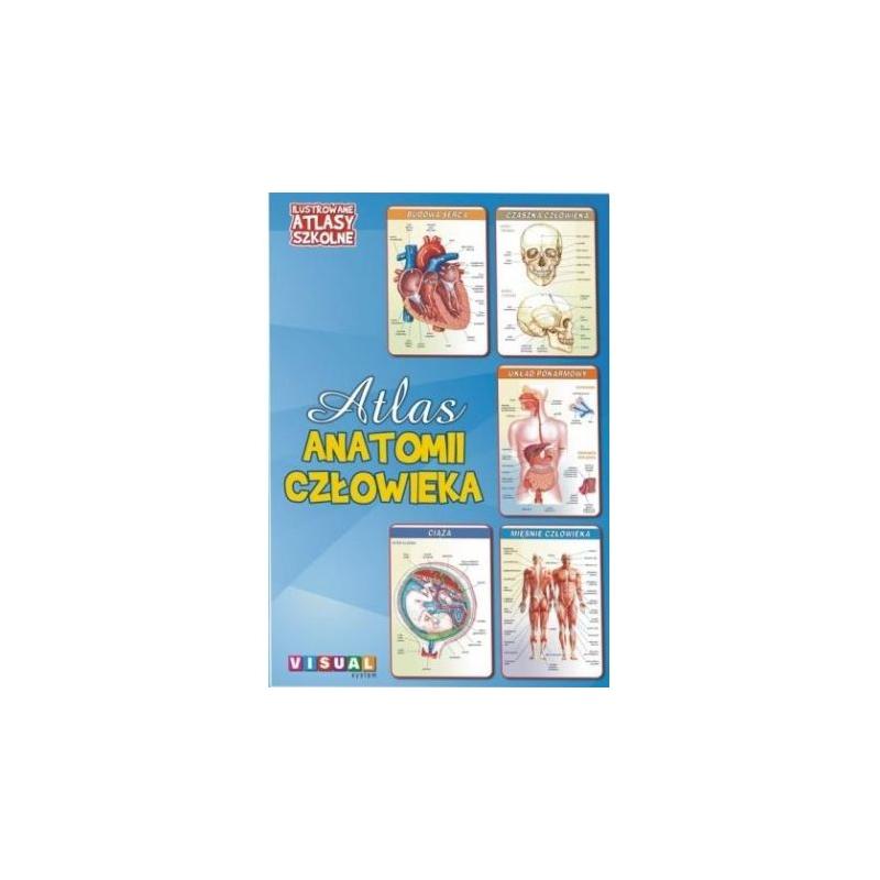 Atlas anatomii człowieka