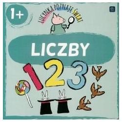 Książeczka, sztywne strony 17x17cm INTERDUK