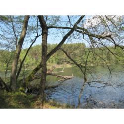 Piła Młyn Przewodnik