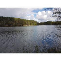 Jeziora i torfowiska Parku Narodowego Bory Tucholskie