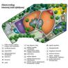 PO ŚCIEŻCE BOTANICZNEJ PARKU NARODOWEGO BORY TUCHO