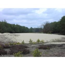 Навколо озера лобелія Wielkie Gacno - путівник