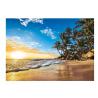 PUZZLE 1500 EL TROPICAL 31681 CLEMENTONI