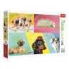 PUZZLE 1000 NEON COLOR LINE PSY 10578 TREFL