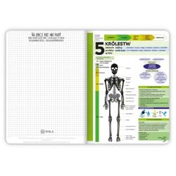 НАЙКРАЩА РЕШІТКА РАДІАТОРА BIOLOGY A5 60K