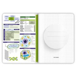 Zeszyt Biologia A5 60k kratka TOP 2000